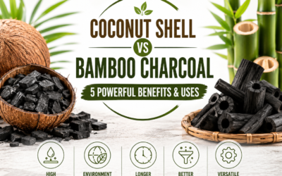 Coconut Shell vs Bamboo Charcoal: 5 Powerful Benefits & Uses
