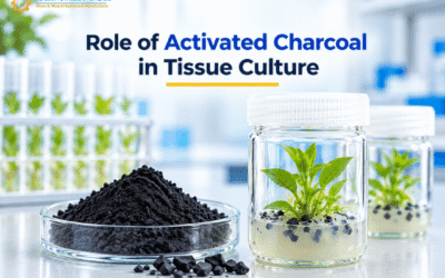 Role of Activated Charcoal in Tissue Culture